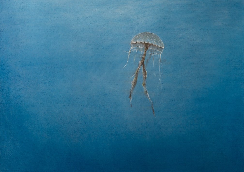 A Jellyfish Caught Between Thoughts