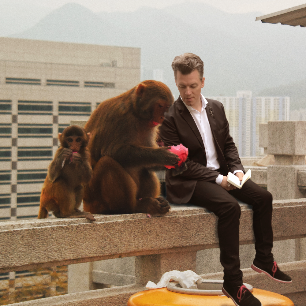 Macaques