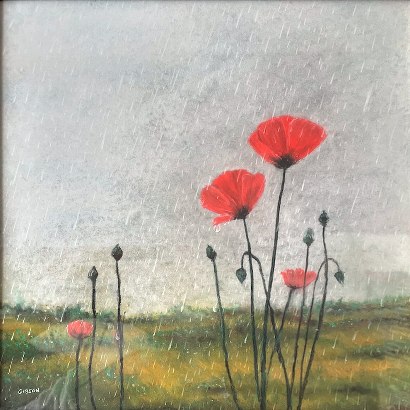 Poppies